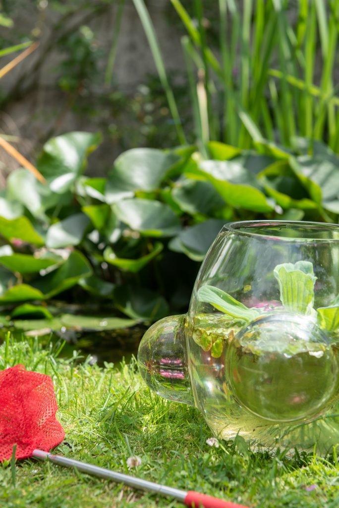 Weltevree Local Habitat - Afbeelding 6