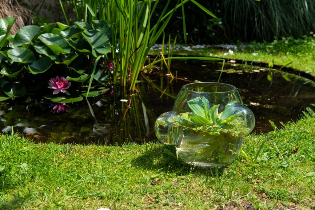 Weltevree Local Habitat - Afbeelding 5