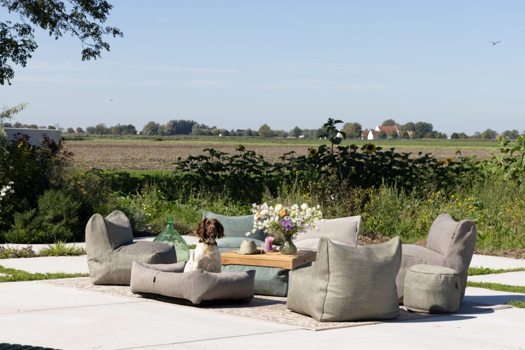 Roolf Dotty Small - Afbeelding 5